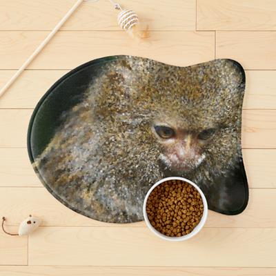 Adorable Curious Monkey