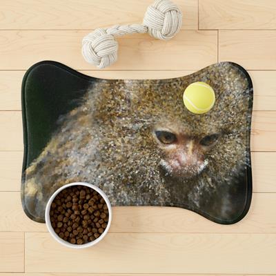 Adorable Curious Monkey