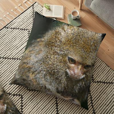 Adorable Curious Monkey