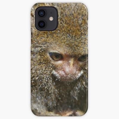 Adorable Curious Monkey