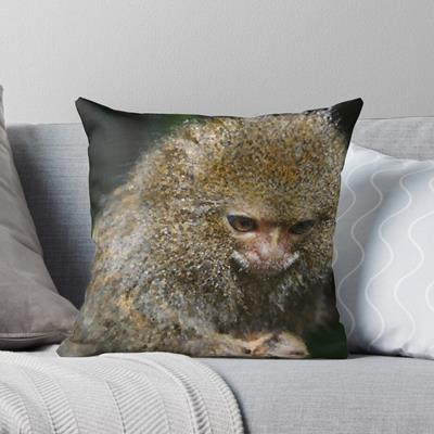 Adorable Curious Monkey