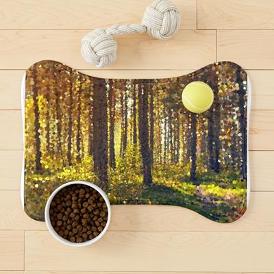 Autumn Forest Path