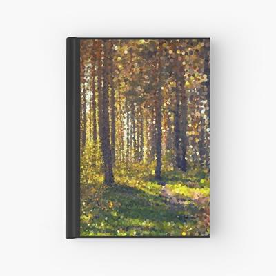 Autumn Forest Path