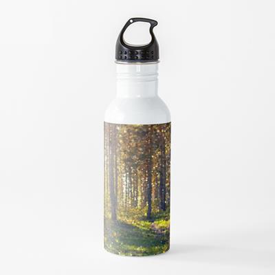 Autumn Forest Path