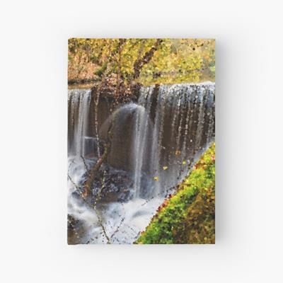 Autumn Forest and Stream