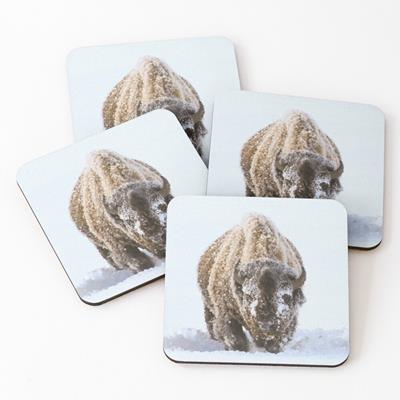 Bison in Snow