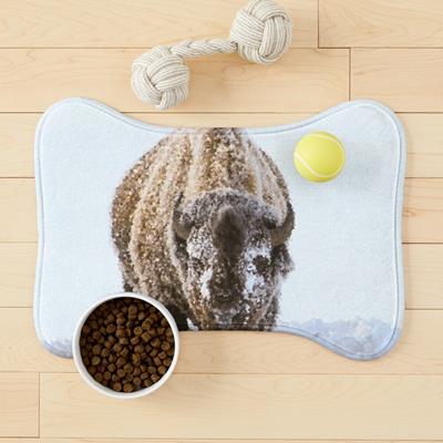 Bison in Snow
