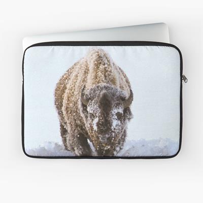 Bison in Snow
