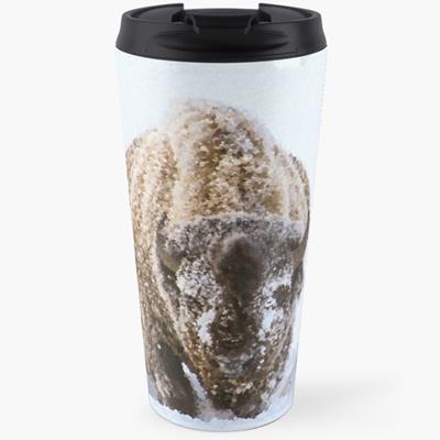 Bison in Snow