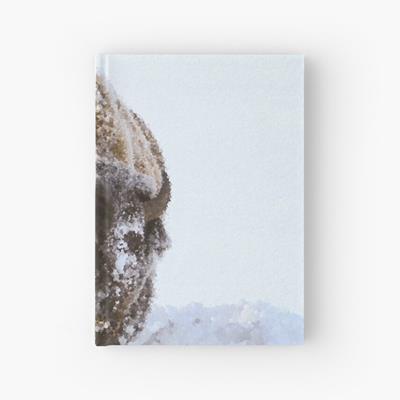 Bison in Snow
