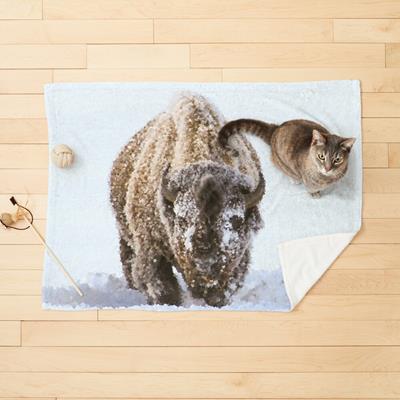 Bison in Snow