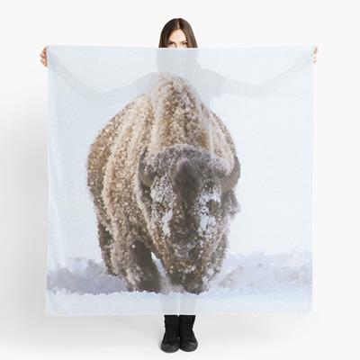 Bison in Snow