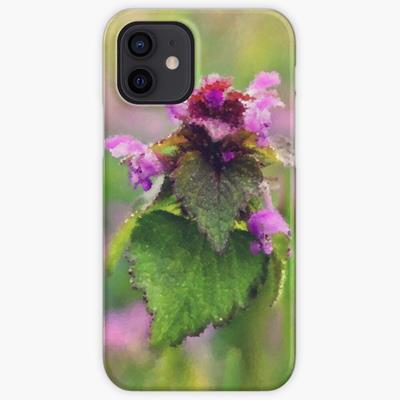 Blooming Wildflower