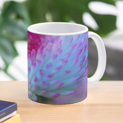 Blue and Purple Flower