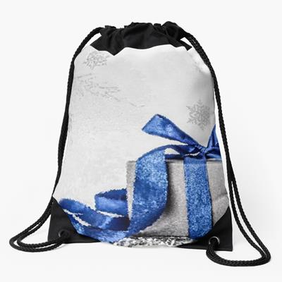 Blue and Silver Christmas Gift