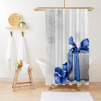 Blue and Silver Christmas Gift