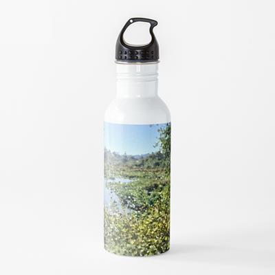 Boggy Stretch of Summer Creek