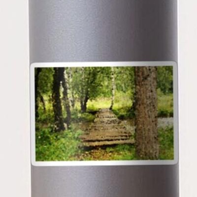 Bridge Through The Woods