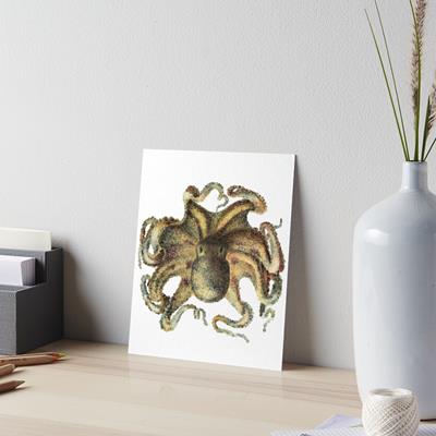 Brown Octopus