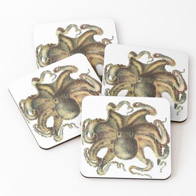 Brown Octopus