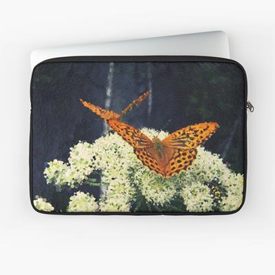 Butterflies on White Flowers