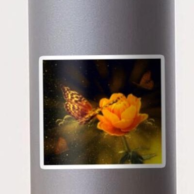 Butterfly Visiting Flower