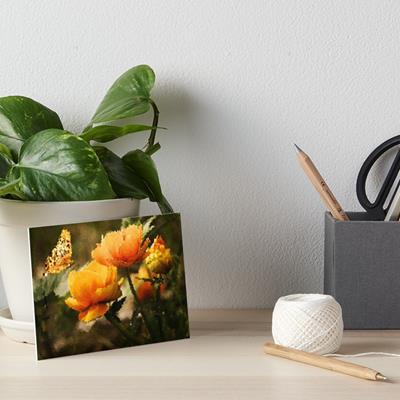 Butterfly on Flowers