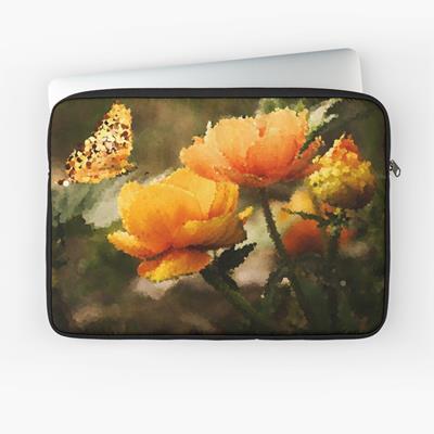 Butterfly on Flowers