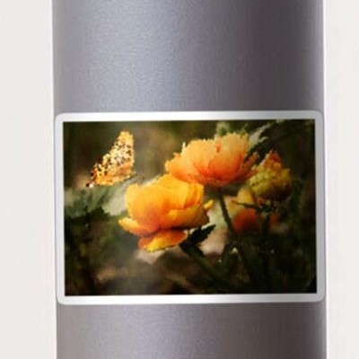 Butterfly on Flowers
