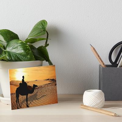 Camel Rider in the Desert