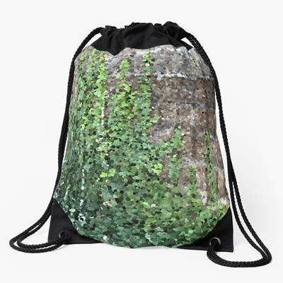 Climbing Plant on Stone Wall