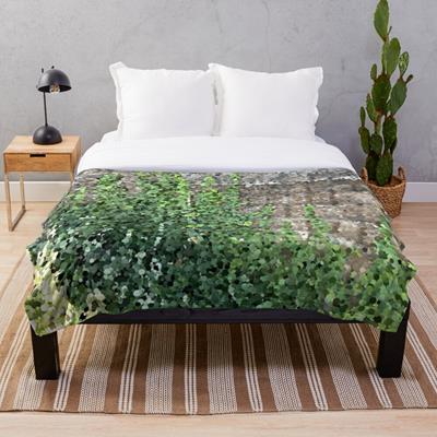 Climbing Plant on Stone Wall