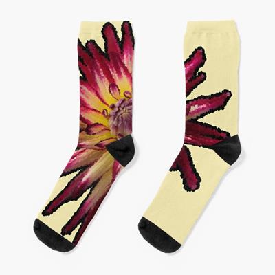 Crimson and Yellow Flower