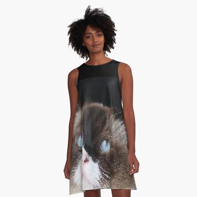 Curious Ragdoll Cat Face