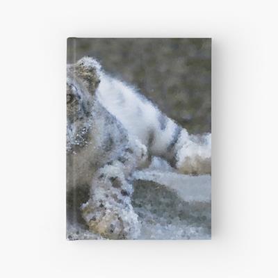 Curious Snow Leopard