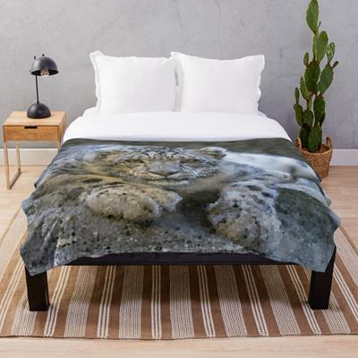 Curious Snow Leopard