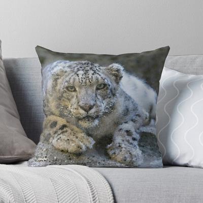 Curious Snow Leopard
