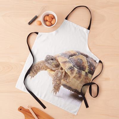 Cute Tortoise Walking