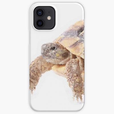 Cute Tortoise Walking