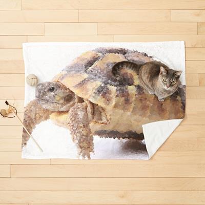Cute Tortoise Walking