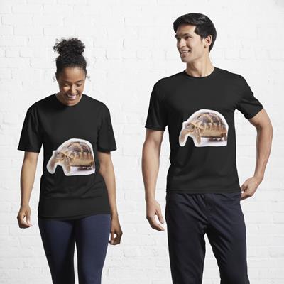 Cute Tortoise Walking