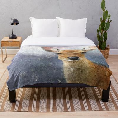 Deer Portrait in Snow