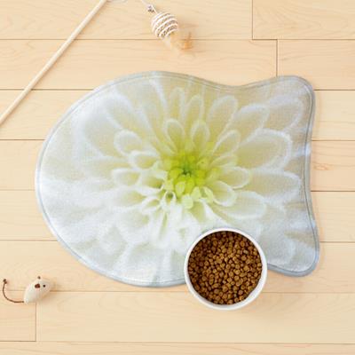 Delicate White Flower
