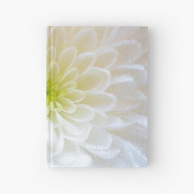 Delicate White Flower