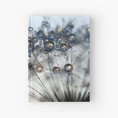Dew on Dandelion
