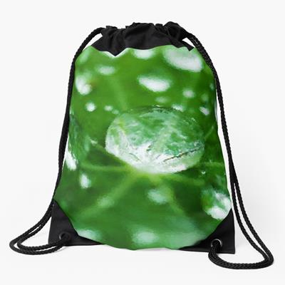 Dew on Green Leaves