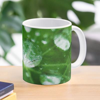 Dew on Green Leaves