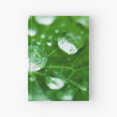 Dew on Green Leaves