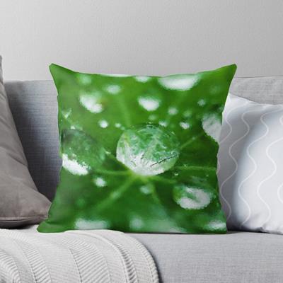 Dew on Green Leaves