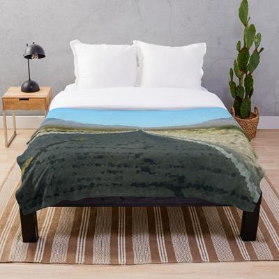 Empty Desert Road to Nowhere